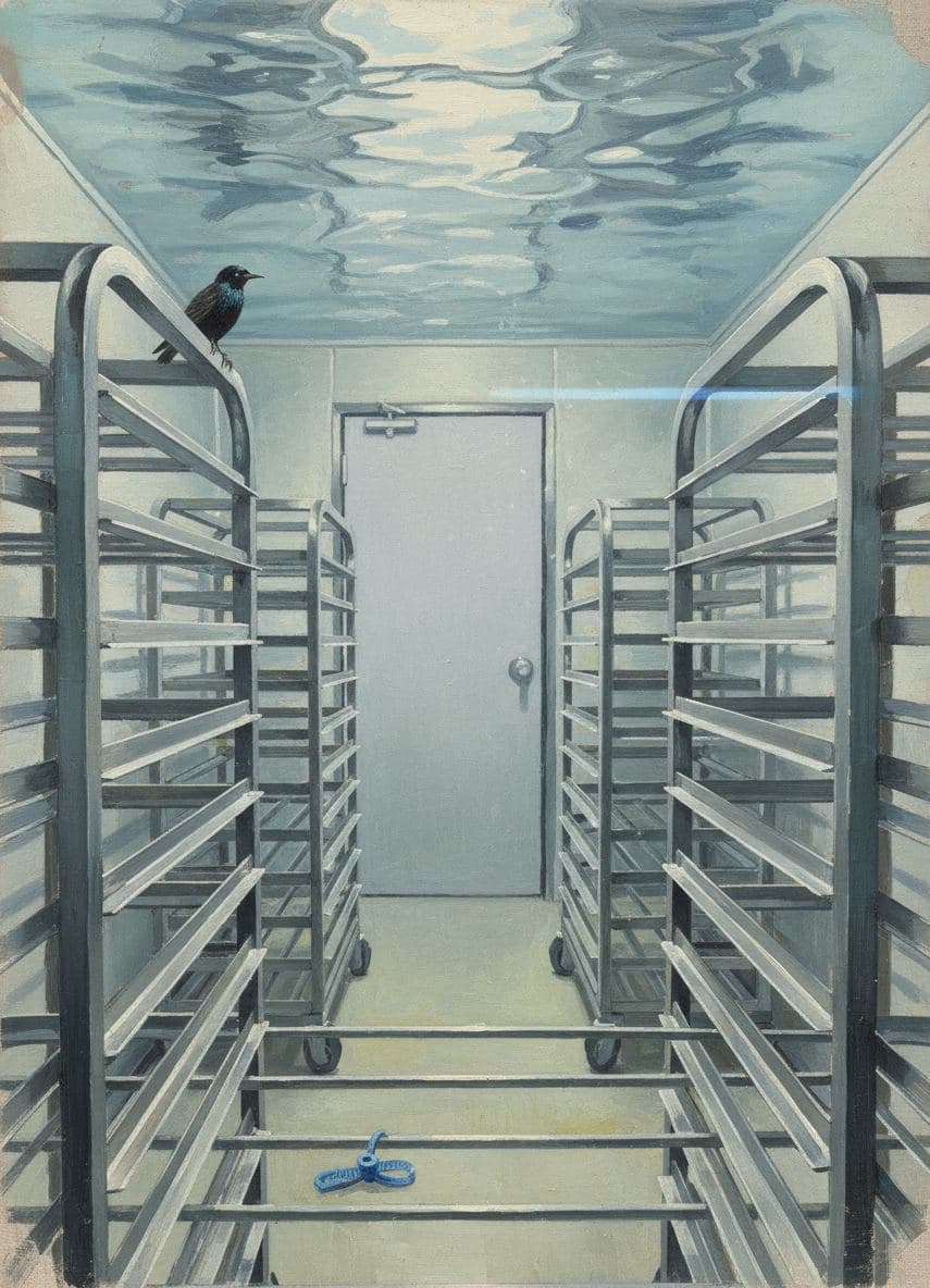 It's Not a Simple Visit — Saskia Vandenberg · MODULAR archive