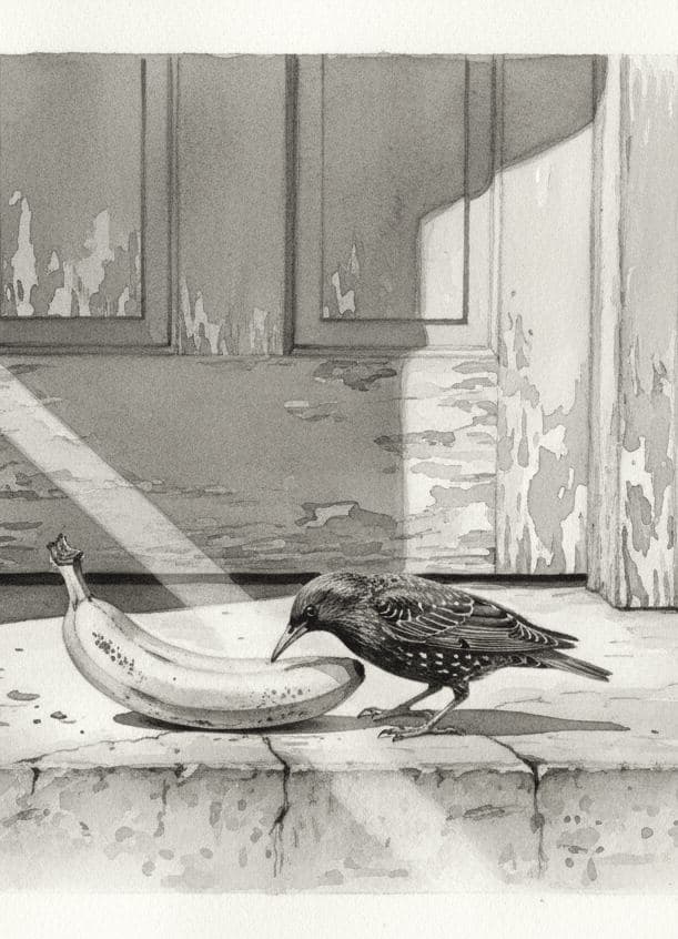 Threshold Banana with Starling — Agnete Holm · MODULAR one-of-a-kind original